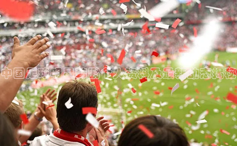 6688体育app下载安装神思电子中国足球明星韩鹏个人资料及最新动态揭秘