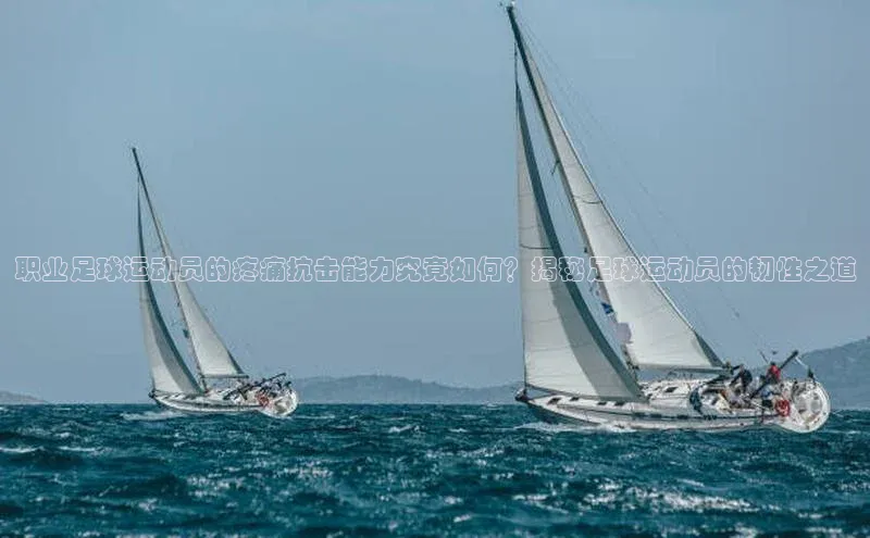 6688体育手机版登录字节跳动职业足球运动员的疼痛抗击能力究竟如何？揭秘足球运动员的韧性之道