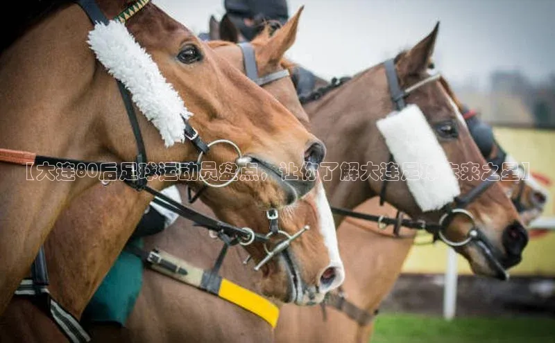 6688体育手机登录入口百度手机助手【大连80后足球运动员盘点，让你了解大连足球未来之星】