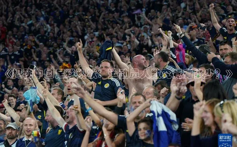6688体育网络平台宇信科技《揭秘中国足球现状：运动员人数究竟有多少？》