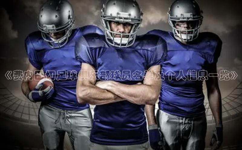 6688体育平台汉得信息《费内巴切足球俱乐部球员名单及个人信息一览》