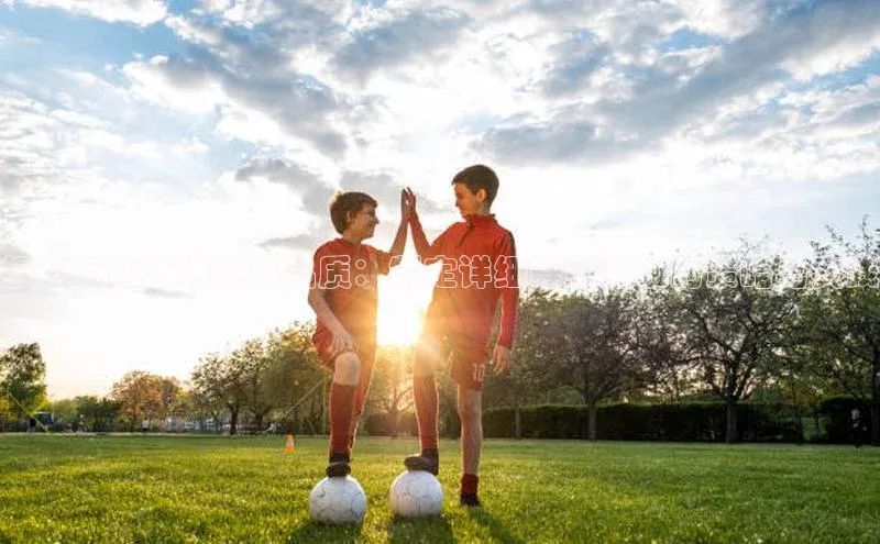 6688体育线上登录百度手机输入法提升运动场地赛事品质：制定详细等级标准的策略与实践