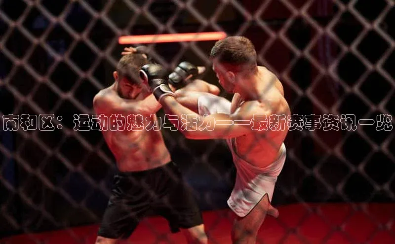 南和区：运动的魅力与活力——最新赛事资讯一览