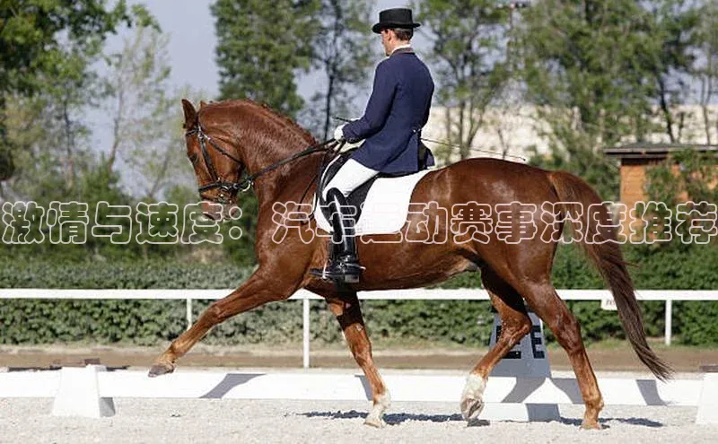 激情与速度：汽车运动赛事深度推荐