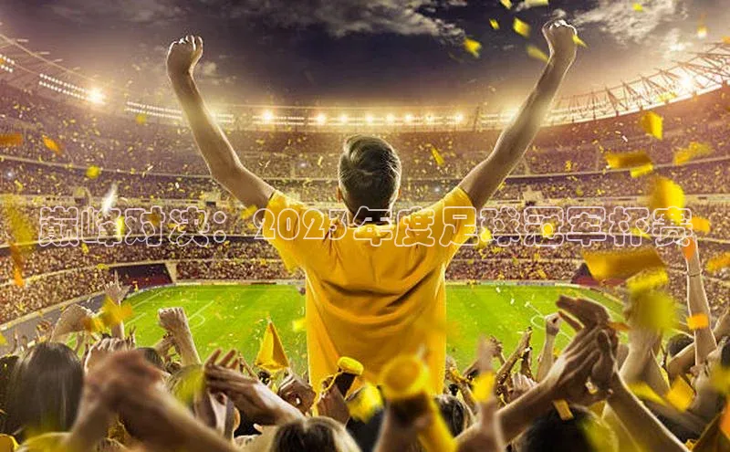 巅峰对决：2023年度足球冠军杯赛