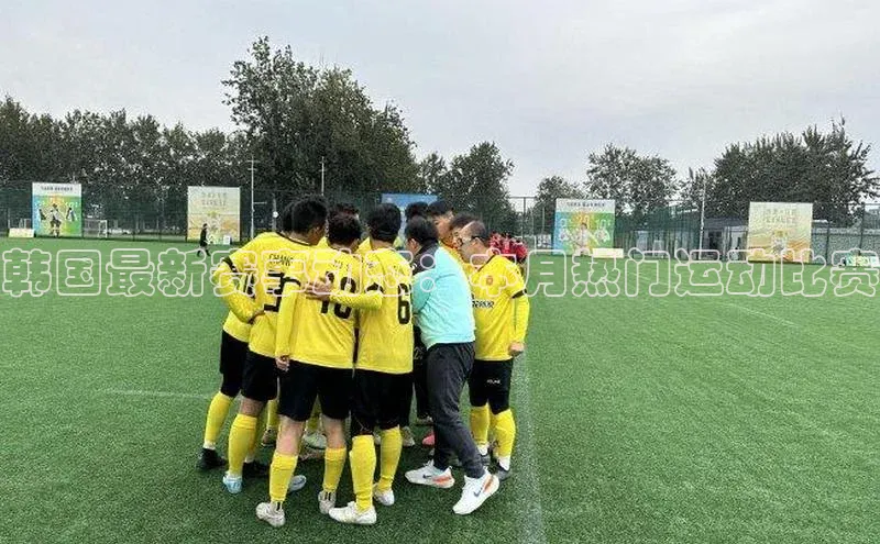 韩国最新赛事动态：本月热门运动比赛