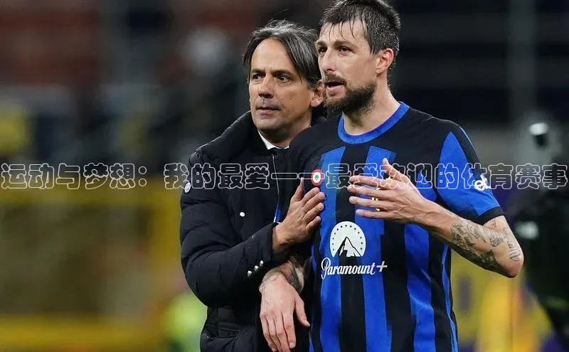 运动与梦想：我的最爱——最受欢迎的体育赛事