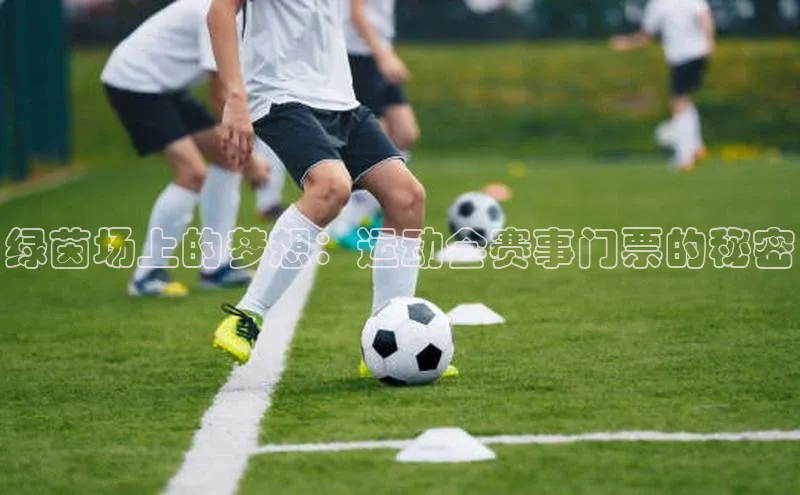绿茵场上的梦想：运动会赛事门票的秘密