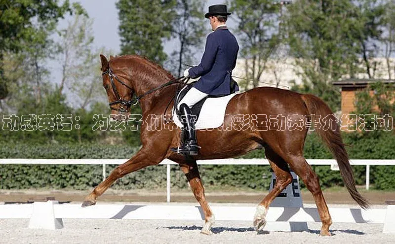 动感英语：为孩子们带来的精彩运动赛事介绍活动