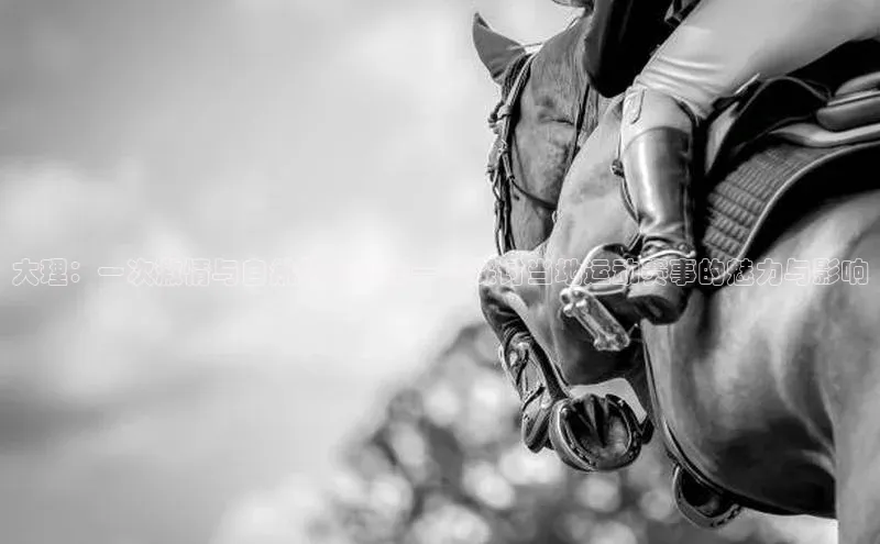 大理：一次激情与自然的交响乐——探讨当地运动赛事的魅力与影响