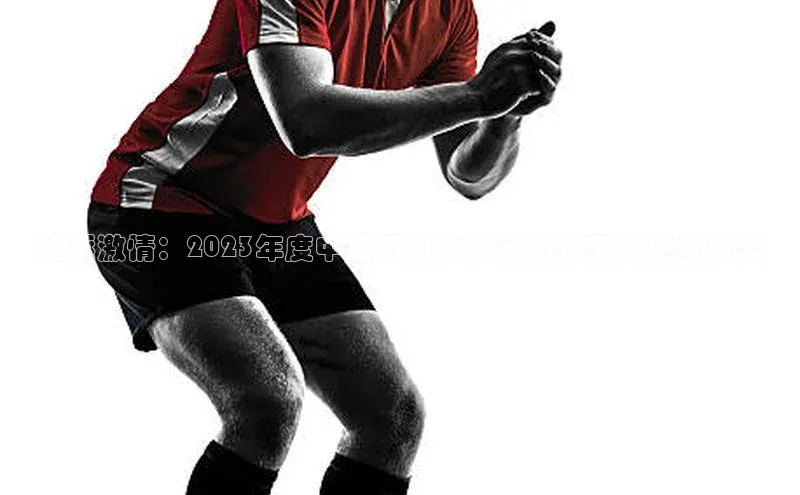 追逐激情：2023年度中国境内重大运动赛事综述与展望