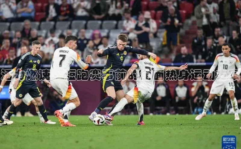 6688体育app的发展历程