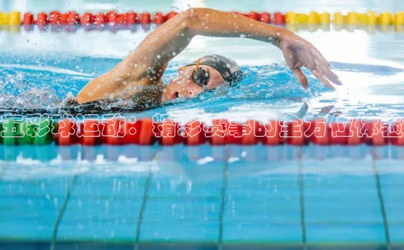 6688体育集团app下载