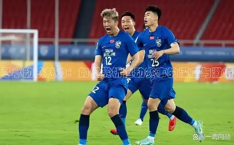 尽享动感魅力：如何赏析运动赛事的深度与激情